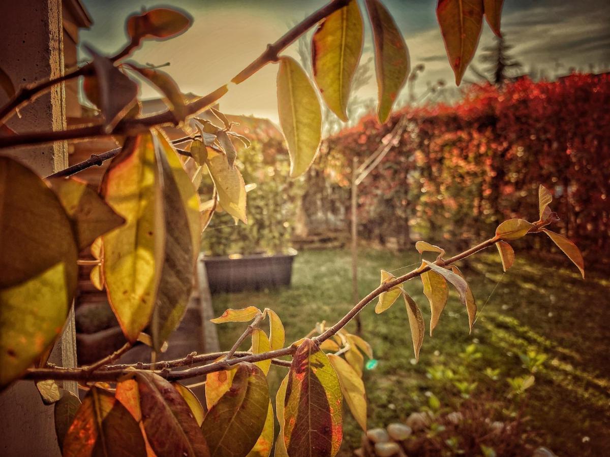 Residenza Il Fiore Bergamo Buitenkant foto